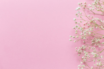 Obraz na płótnie Canvas Pink background with white flowers