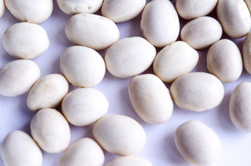 Fototapeta na wymiar White beans on white background
