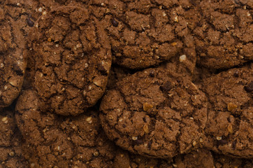 Chocolate chip cookie isolated on white background