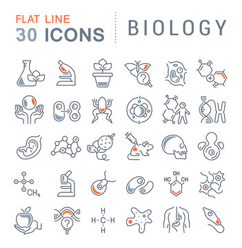 Set Vector Line Icons of Biology.