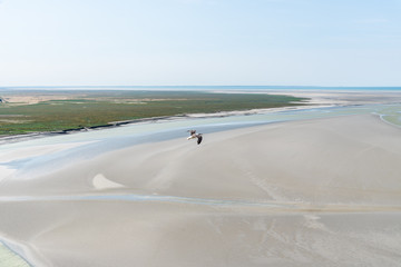 Aerial view of seagulls flying on sea
