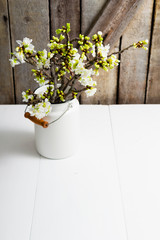 cherry flower blossom branch in enamel milk canister at white wooden table, old weathered wood wall background