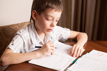 Boy doing homework