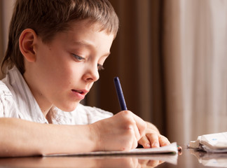 Boy doing homework