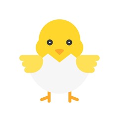 Chick vector, Isolated Easter flat style icon