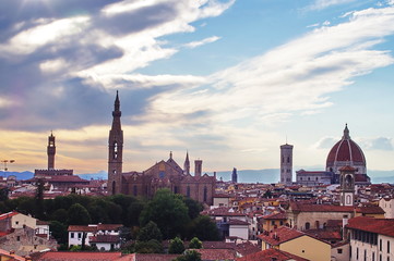 Fototapeta na wymiar View of Florence from Zecca tower, Tuscany, Italy