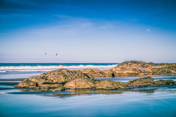 Wild Beach Costa Rica