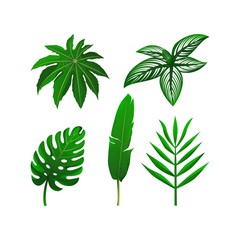 Fototapeta na wymiar Set of tropical green leaves. Vector illustration collection. isolated elements on the white background.