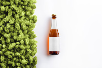 Brown beer glass bottlle mockup on white background  with hop cones.