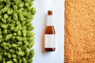 Brown beer bottlle mockup on white background  with hop cones and wheat.