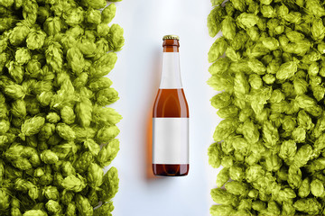 Brown beer bottlle template on white background  with two rows of hop cones.