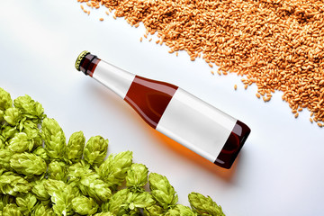 Brown beer mockup with diagonal placement bottlle on white background  with wheat and hops