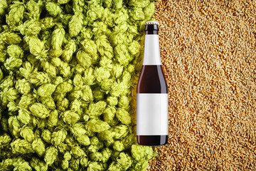Brown beer bottlle mockup on background  with  hop cones and wheat grains.