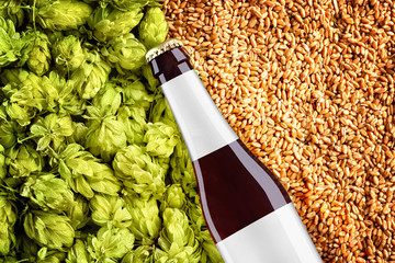Close up brown beer mockup with diagonal placement bottlle on background  with wheat grains and hops