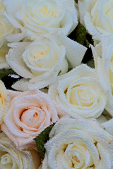 Beautiful white and pink rose bouquet with water drops
