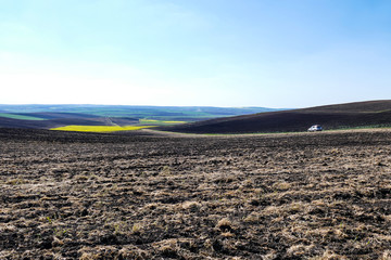 Extensive аrable land. On the horizon - blooming yellow rape and blue sky.