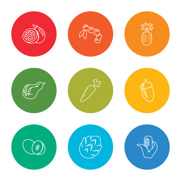 outline stroke corn, artichoke, kiwi, mangosteen, horseradish, carambola, pineapple, tamarind, passion fruit, vector line icons set on rounded colorful shapes