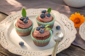 Delicious brown cupcake served with coffee in garden