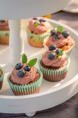 Delicious chocolate muffin in sunny summer garden
