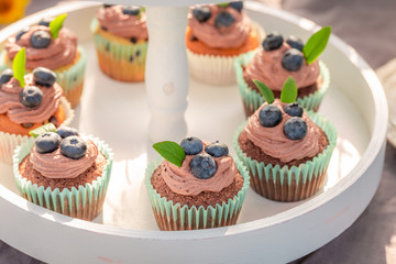 Delicious chocolate muffin made of cream and fresh berries
