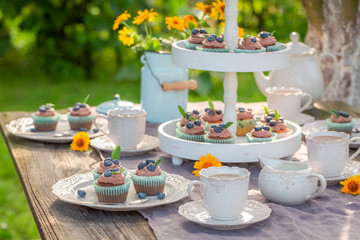 Homemade brown cupcake in sunny summer garden