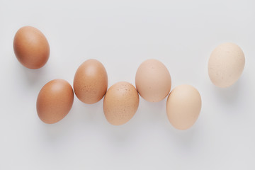 Chicken eggs are arranged in a gradient color on white background.