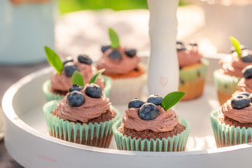 Homemade chocolate muffin in sunny summer garden