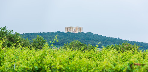 Castel del Monte, a 13th century fortress built by the emperor of the Holy Roman Empire, Frederick II. Italy