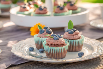 Sweet brown cupcake made of cream and fresh berries