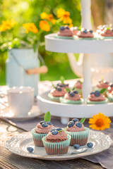 Delicious brown cupcake in sunny summer garden