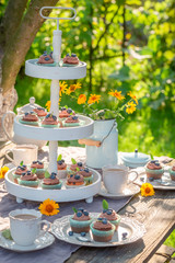 Fototapeta premium Homemade brown cupcake served with coffee in garden