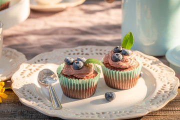 Sweet chocolate muffin in sunny summer garden