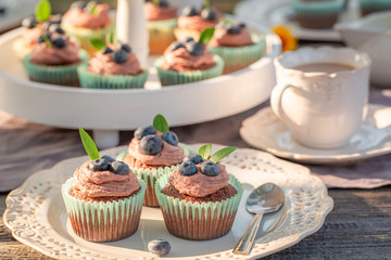Sweet brown cupcake in sunny summer garden