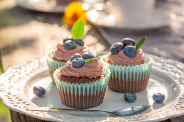 Closeup of chocolate muffin with fresh blueberries and cream