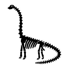 Fototapeta na wymiar Vector dinosaur skeleton diplodocus.