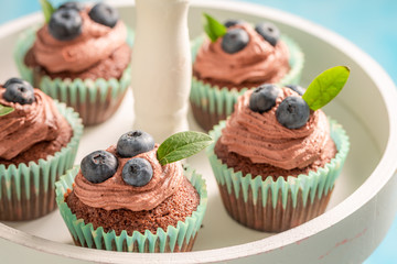 Closeup of cupcake made of chocolate cream and berries