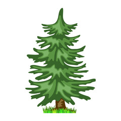 Conifer tree in four seasons - spring, summer, autumn, winter. Nature and ecology. Natural object for landscape design or park. Cartoon style. Green tree illustration Isolated on white background.