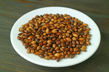 Plate of Roasted Barley for Japanese Barley Tea or Mugicha on Dark Brown Wooden Table