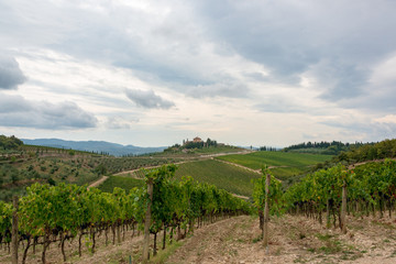 Fototapeta na wymiar Weingut auf einem Hügel umgeben von Weinbergen in der Nähe von Radda in Chianti
