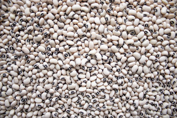 White beans, small. Background with beans.