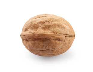 Tasty walnut on white background