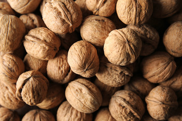 Tasty walnuts, closeup