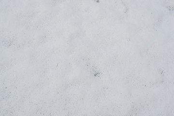 Schnee Fläche als Hintergrund zum Frühlingsanfang