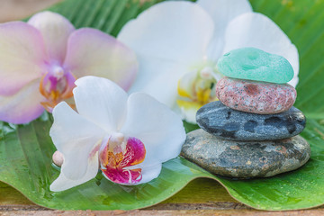 Fototapeta na wymiar Beautiful spa composition: white and pink orchid flowers and stones pyramid on the wet banana leaf on sunlight