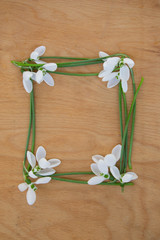 Beautiful spring closeup of snowdrop flowers (Galanthus nivalis), frame, wooden board