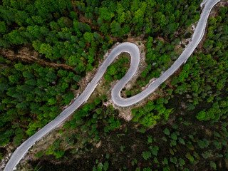 Curvy road in wild forest, aerial view