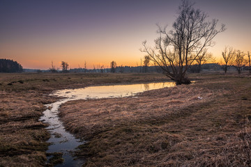 Valley of the Jeziorka River near Piaseczno, Masovia, Poland
