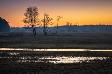 Obraz premium Valley of the Jeziorka River near Piaseczno, Masovia, Poland