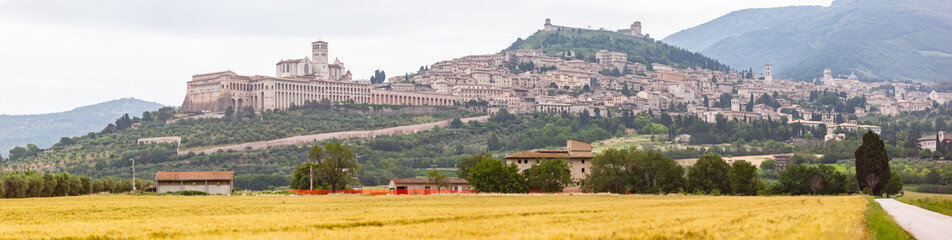 Fototapeta na wymiar Assisi in Italy Umbria golden field panorama