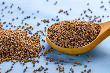 Dry buckwheat in wooden spoon on blue background. Buckwheat cereal grains for dietary, slimming and healthy food
